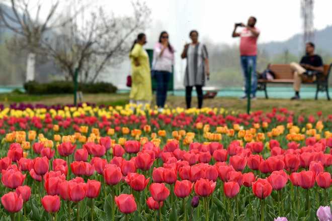 Tulip tour kashmir - Countryside Kashmir