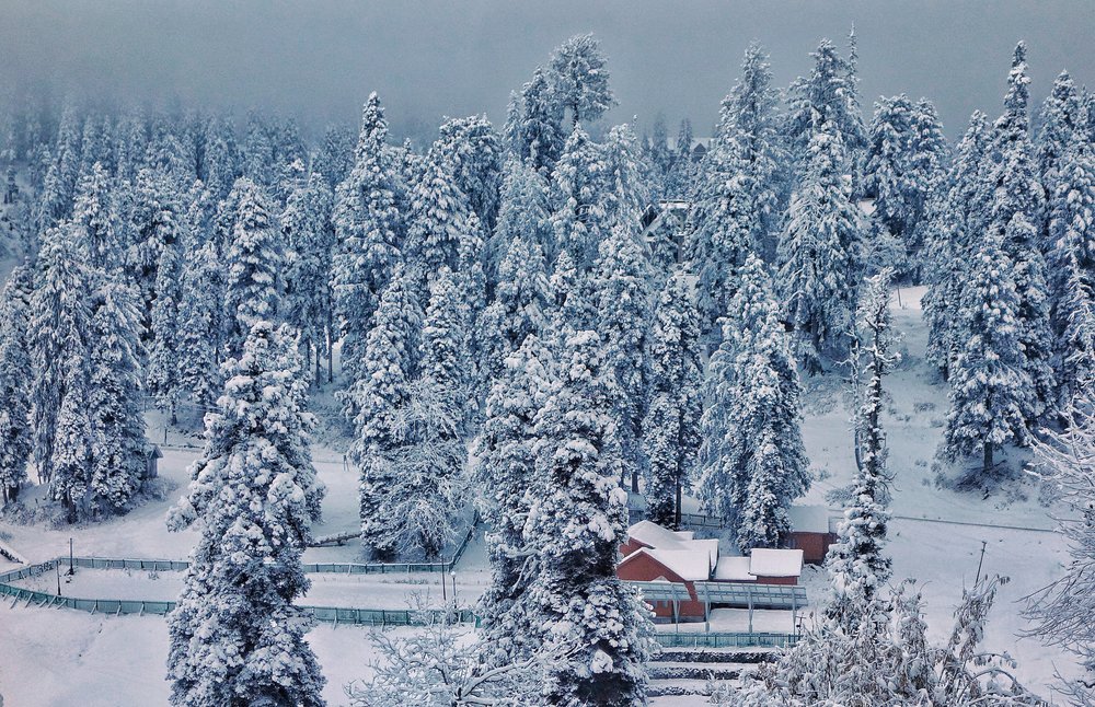 Snowfall rekindles hope of spurt in tourist arrivals to Gulmarg - Countryside Kashmir
