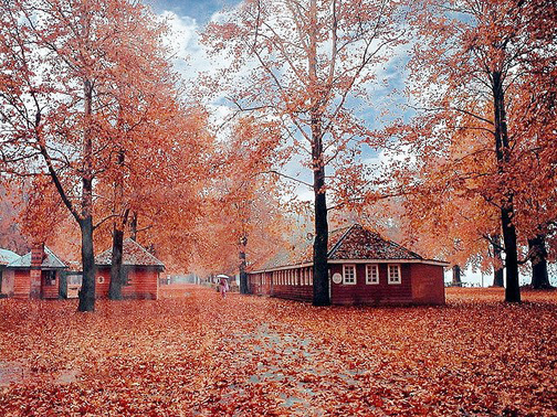 kashmir autumn packages - Countryside Kashmir