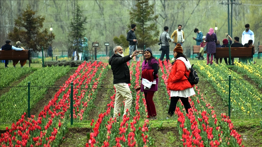 Tulip tour kashmir - Countryside Kashmir