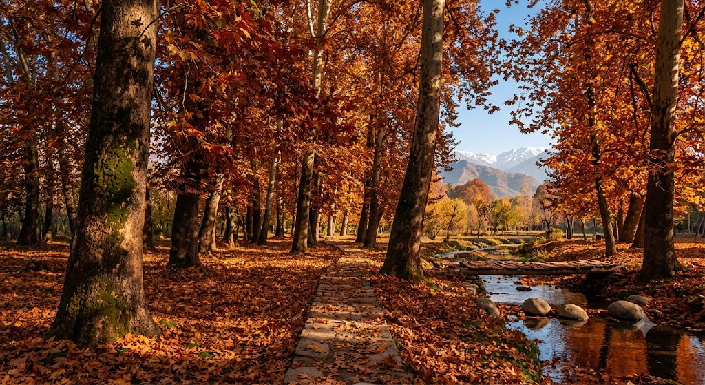 kashmir autumn tour - Countryside Kashmir